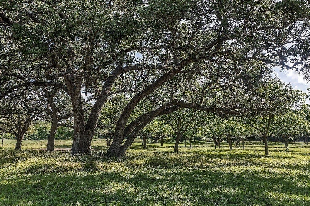 11.5 acres in Washington County - photo 9