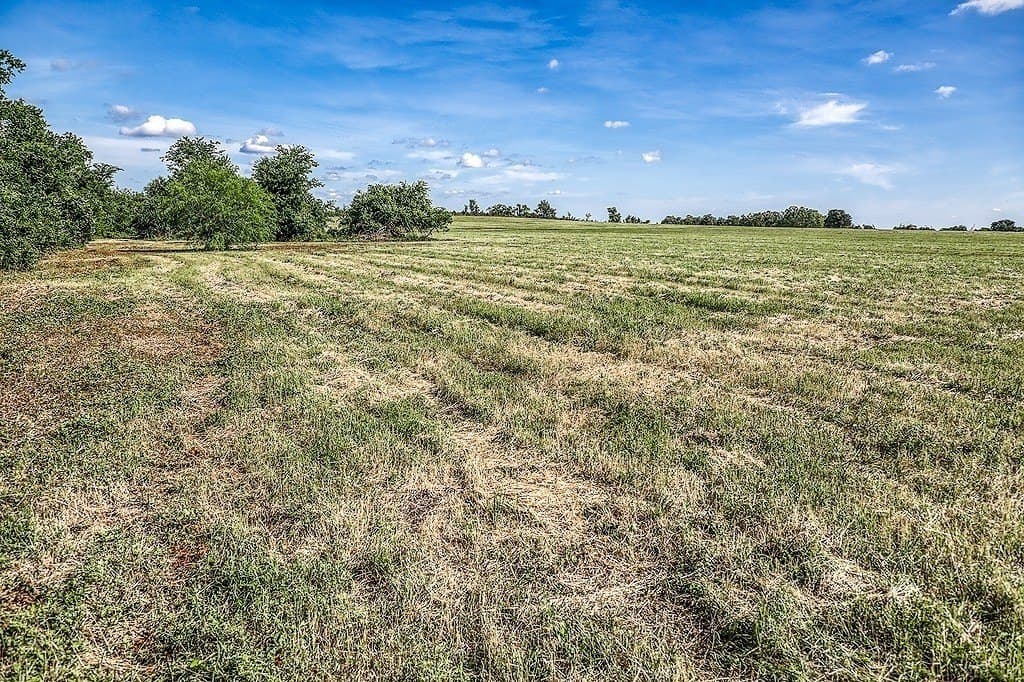 11.5 acres in Washington County - photo 19