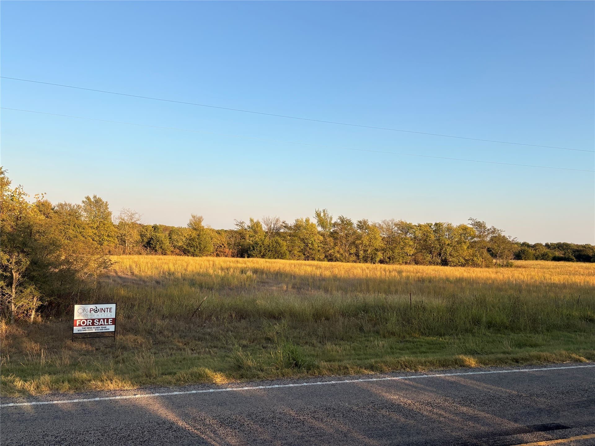 16.07 acres in Fannin County gallery image 2