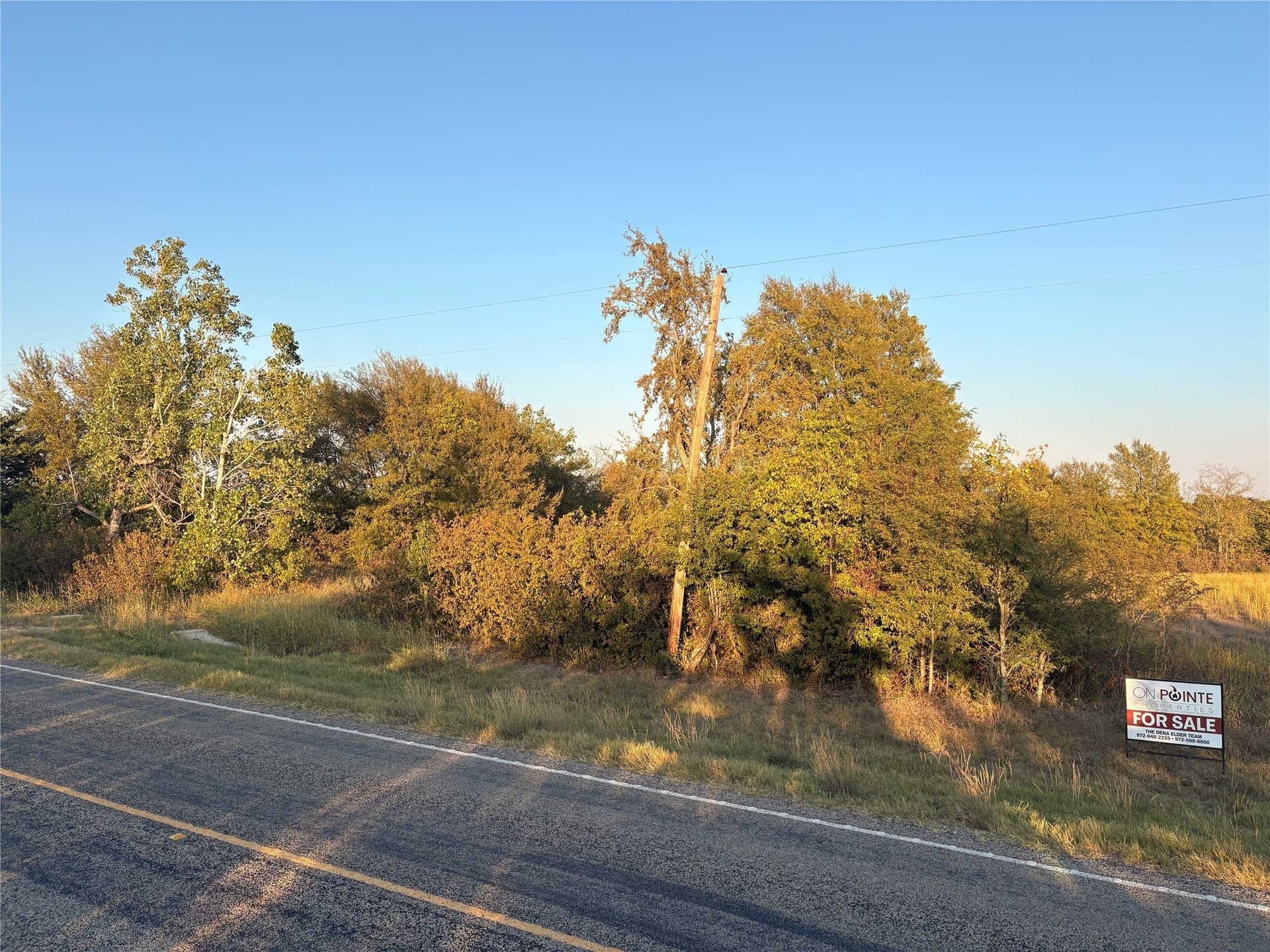 16.07 acres in Fannin County gallery image 4