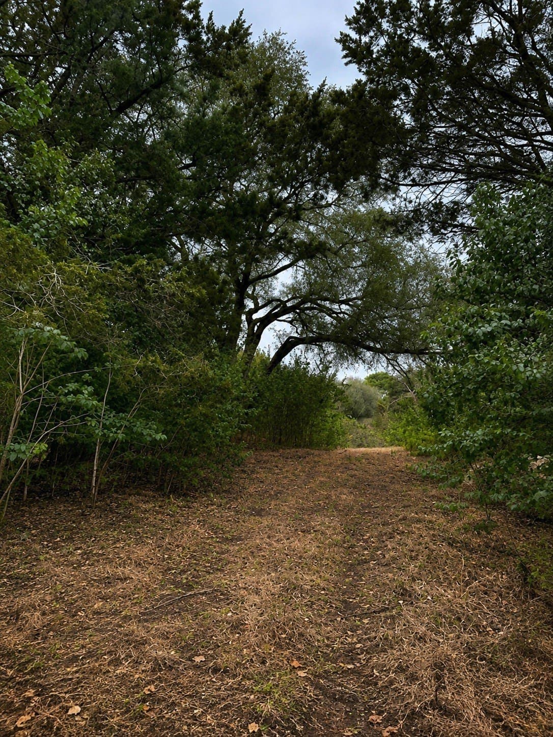 0.64 acres in Hill County - photo 7