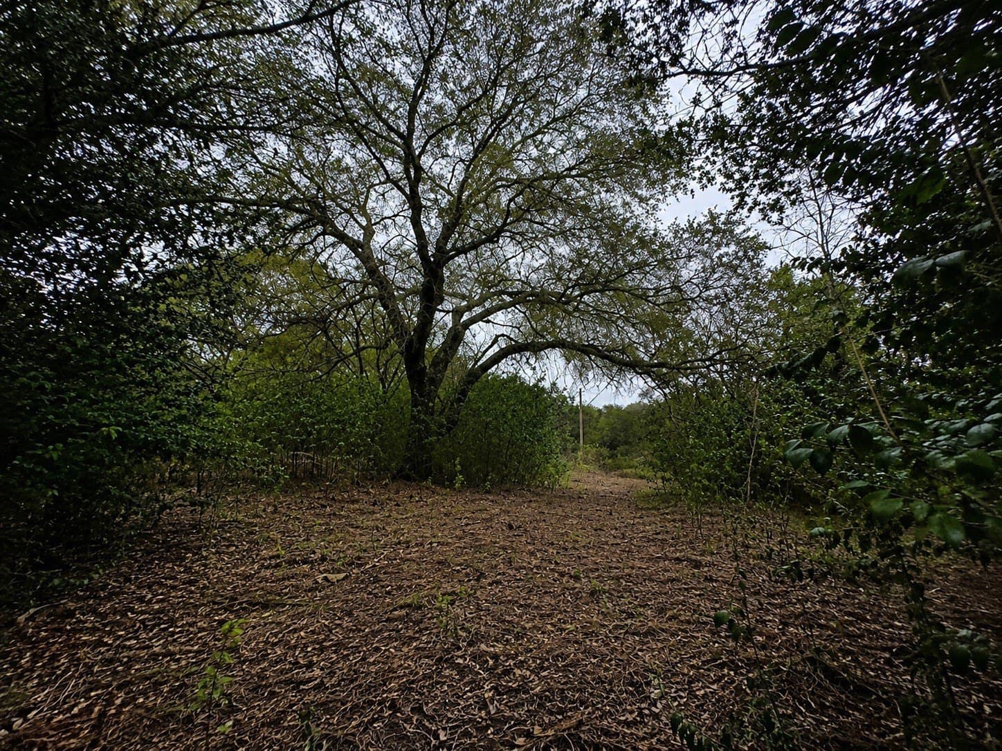 0.64 acres in Hill County - photo 8