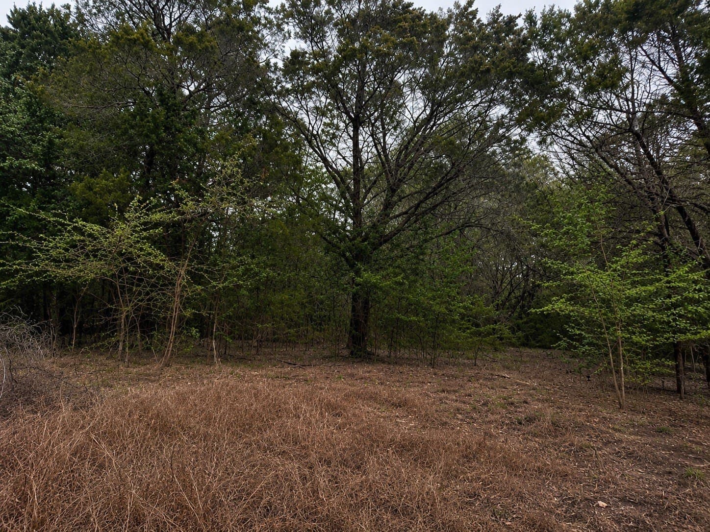 0.64 acres in Hill County - photo 4