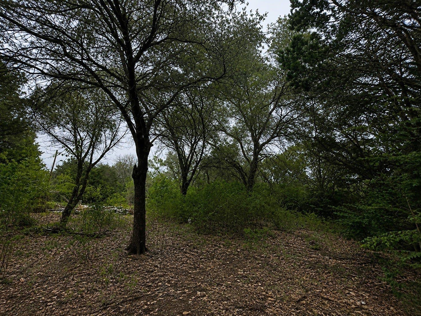 0.64 acres in Hill County - photo 9