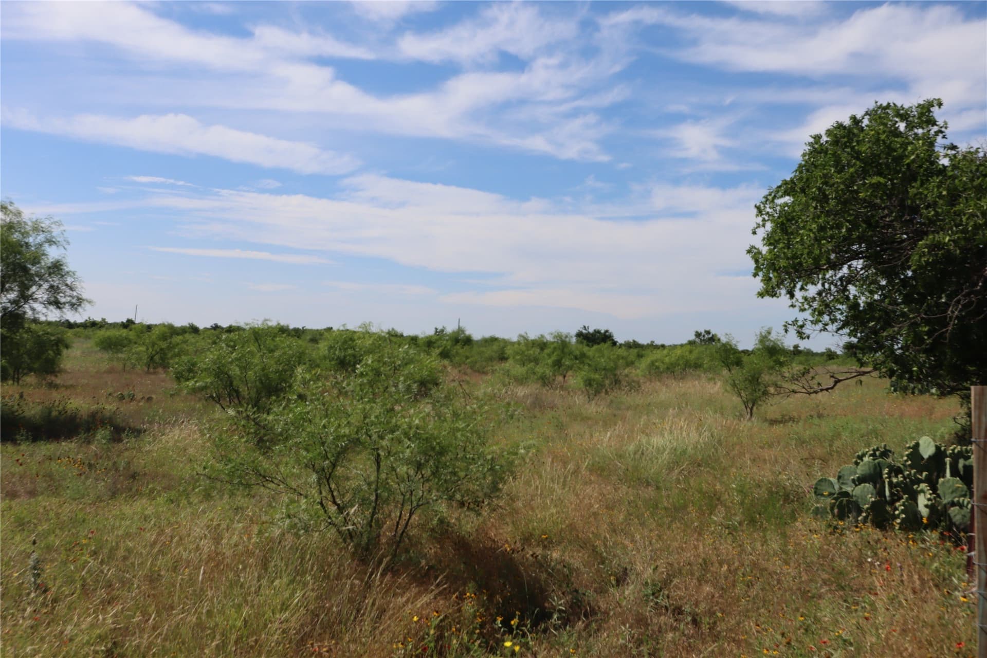 42.93 acres in Eastland County - photo 9