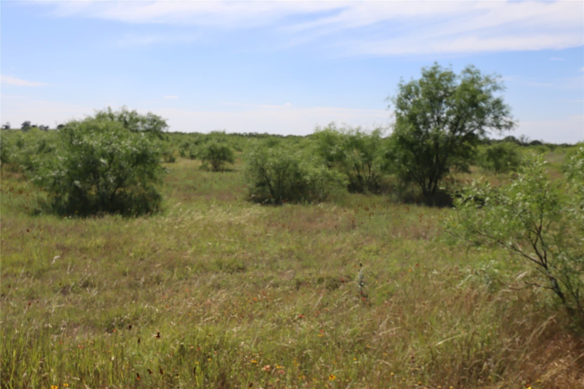 42.93 acres in Eastland County