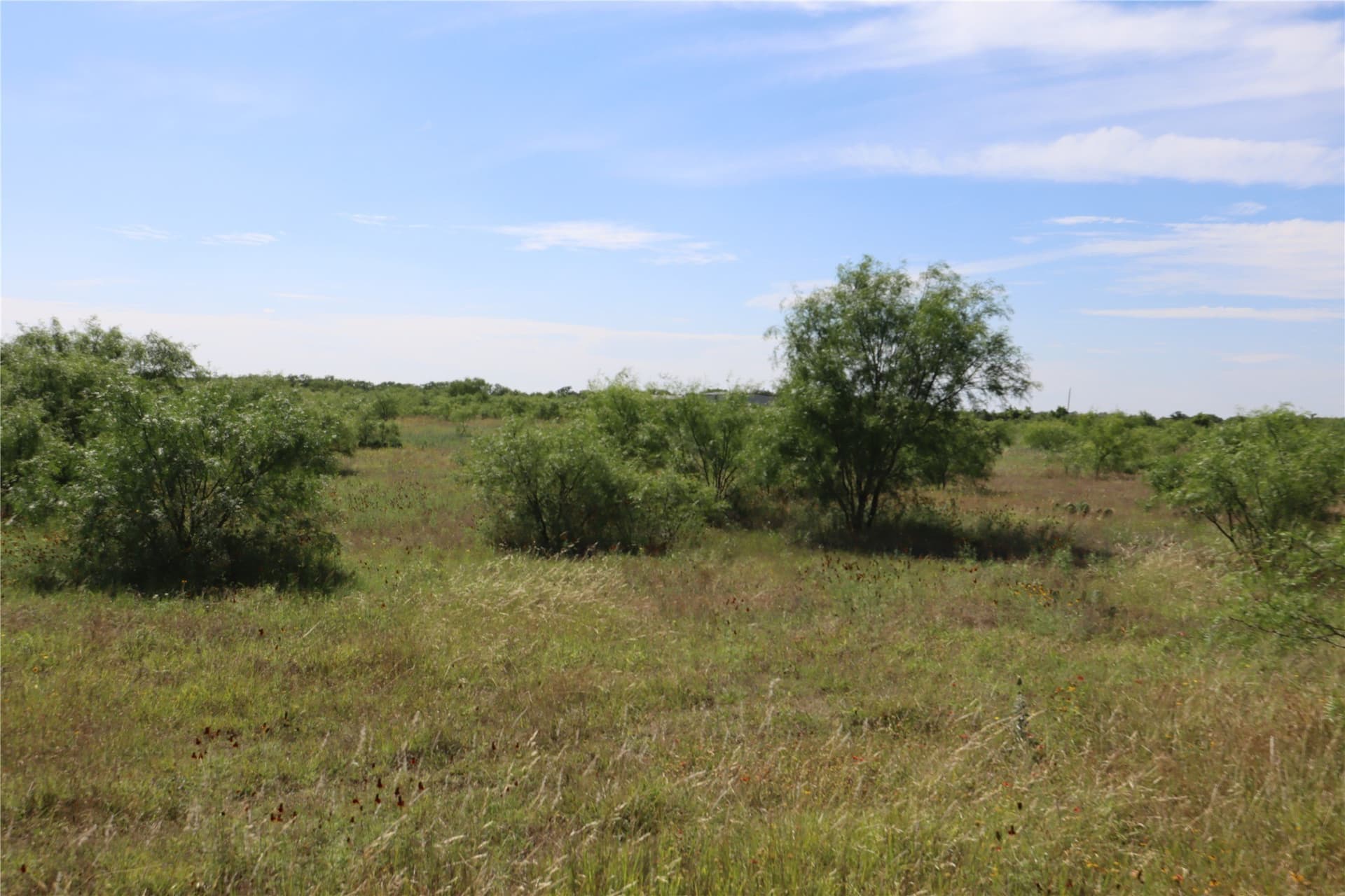 42.93 acres in Eastland County - photo 7