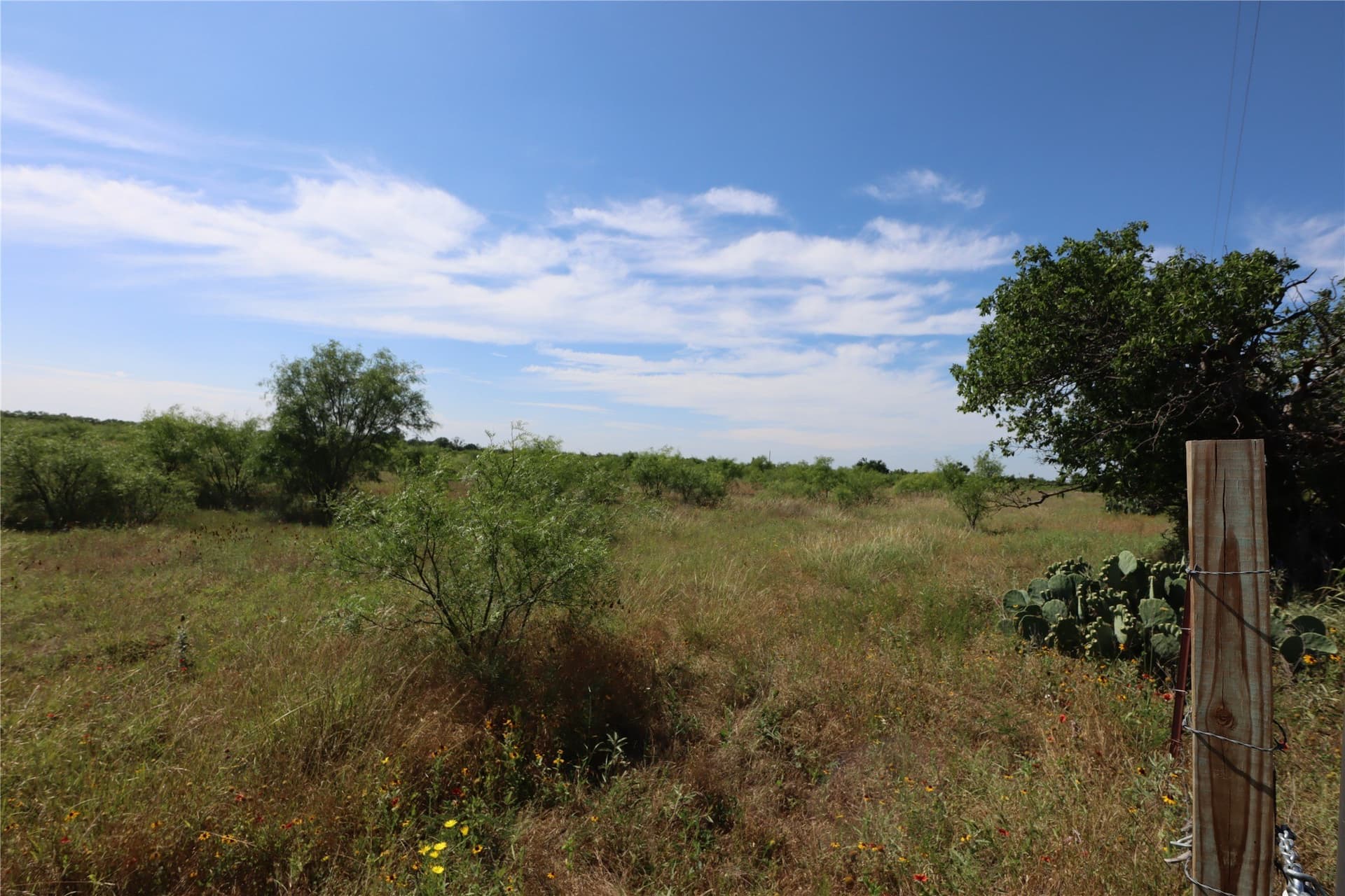 42.93 acres in Eastland County gallery image 3