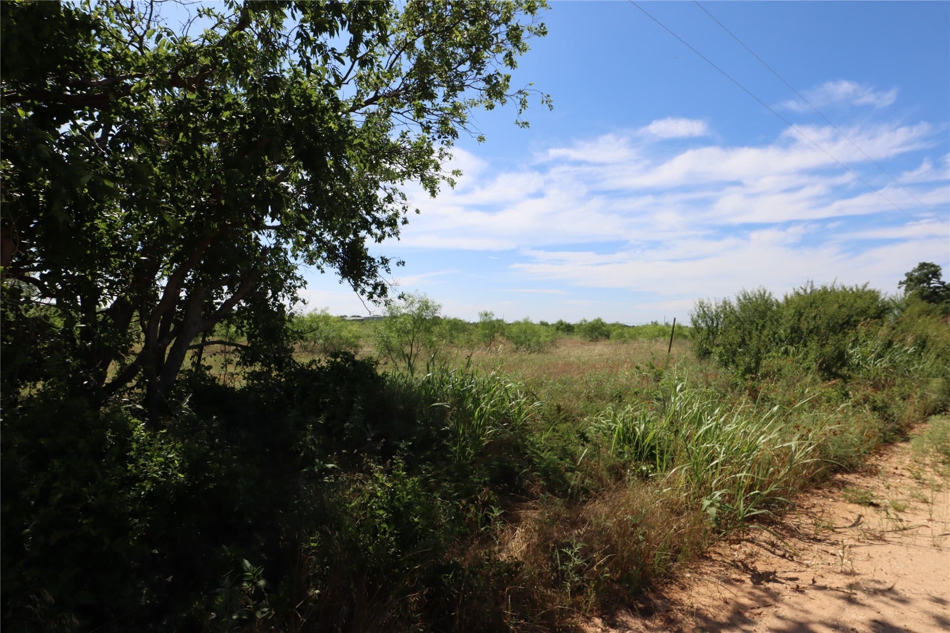 42.93 acres in Eastland County featured view