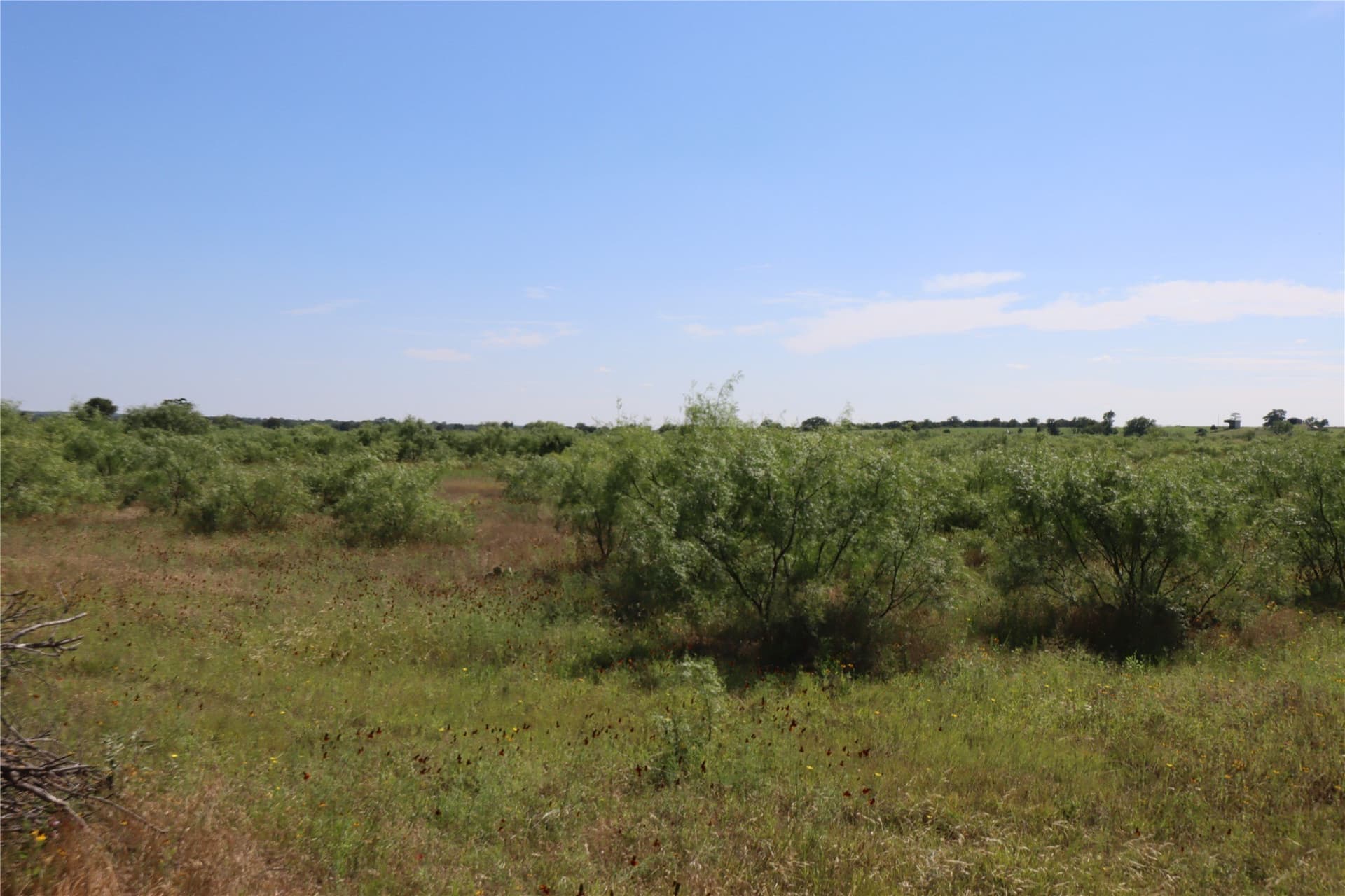 42.93 acres in Eastland County - photo 8