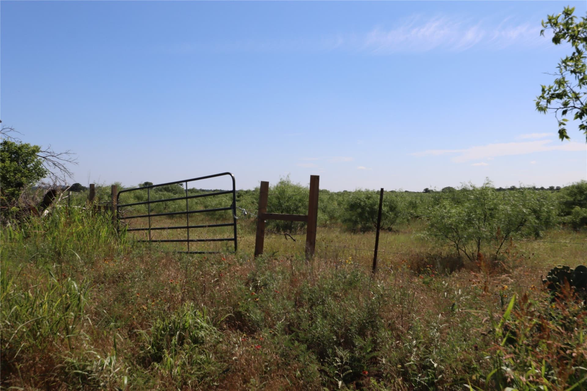 42.93 acres in Eastland County - photo 6