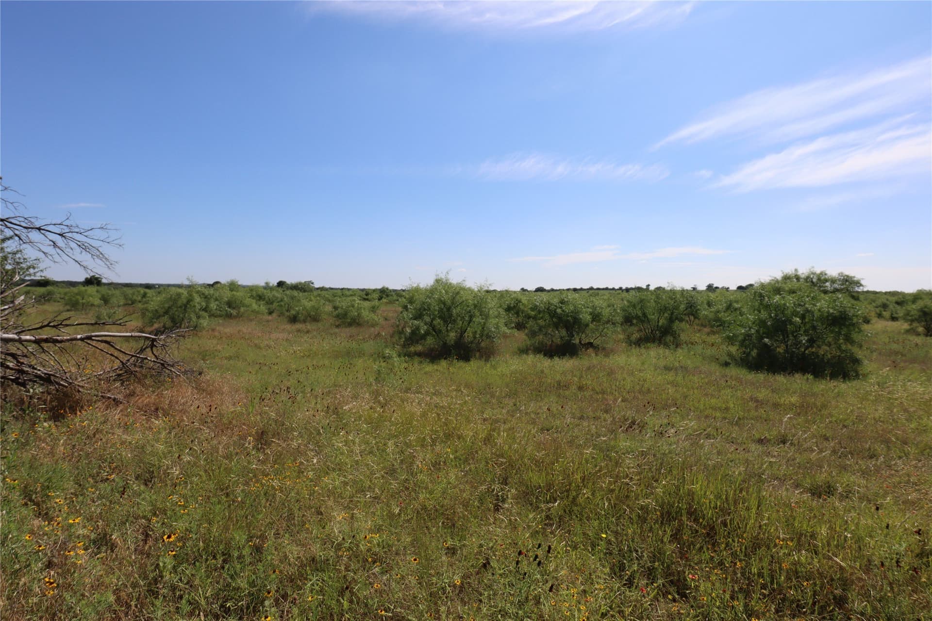 42.93 acres in Eastland County gallery image 2