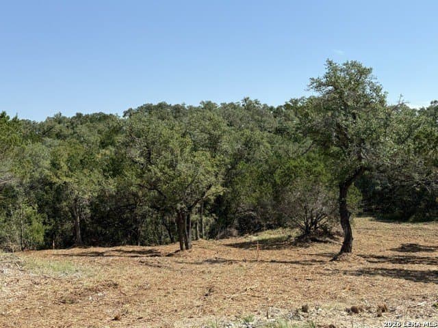3.37 acres in Comal County - photo 6