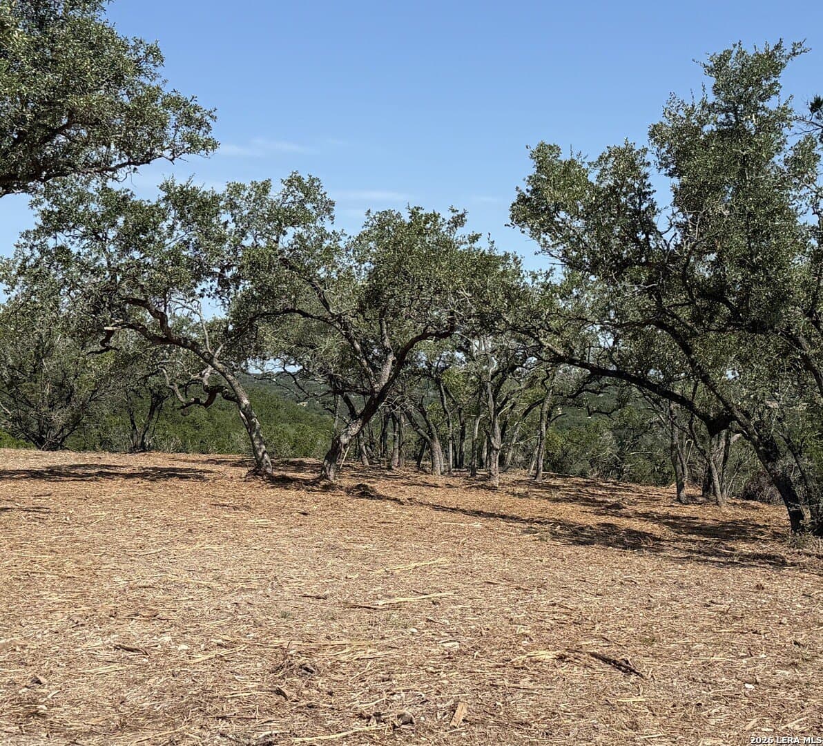 3.37 acres in Comal County gallery image 3