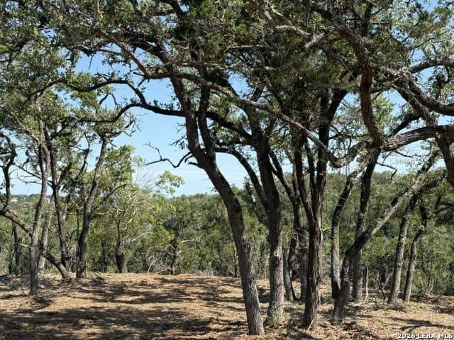 3.37 acres in Comal County - photo 12
