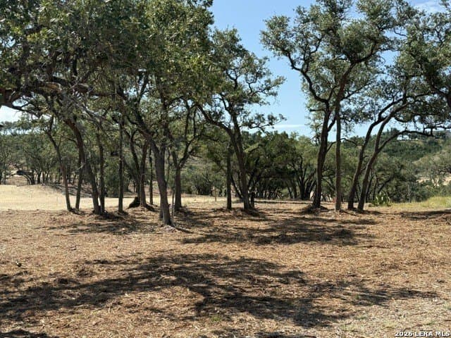 3.37 acres in Comal County - photo 11