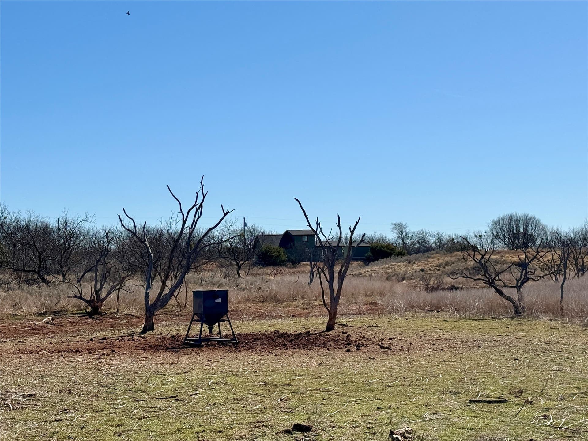 118.08 acres in Taylor County - photo 17