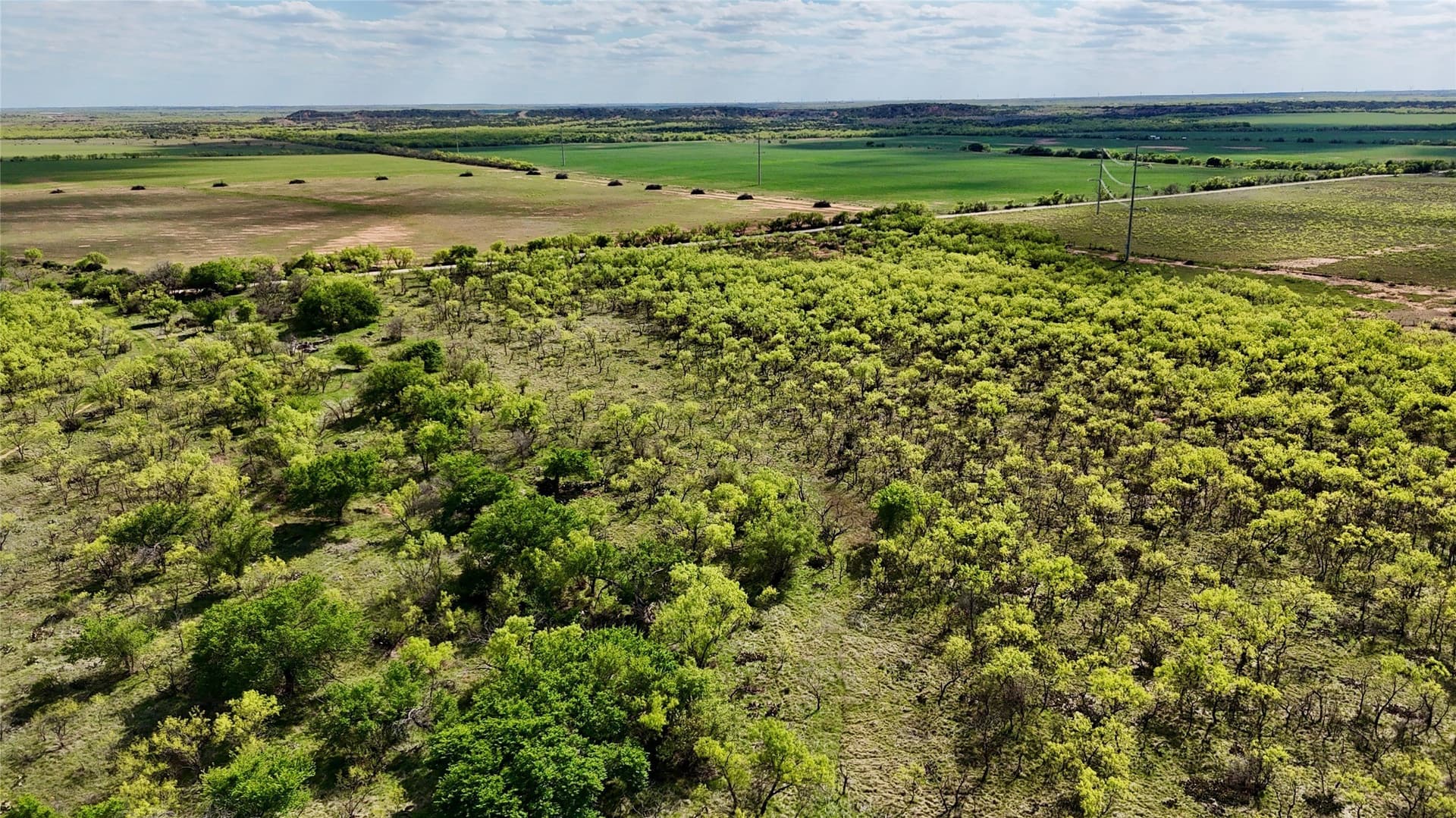 118.08 acres in Taylor County - photo 26