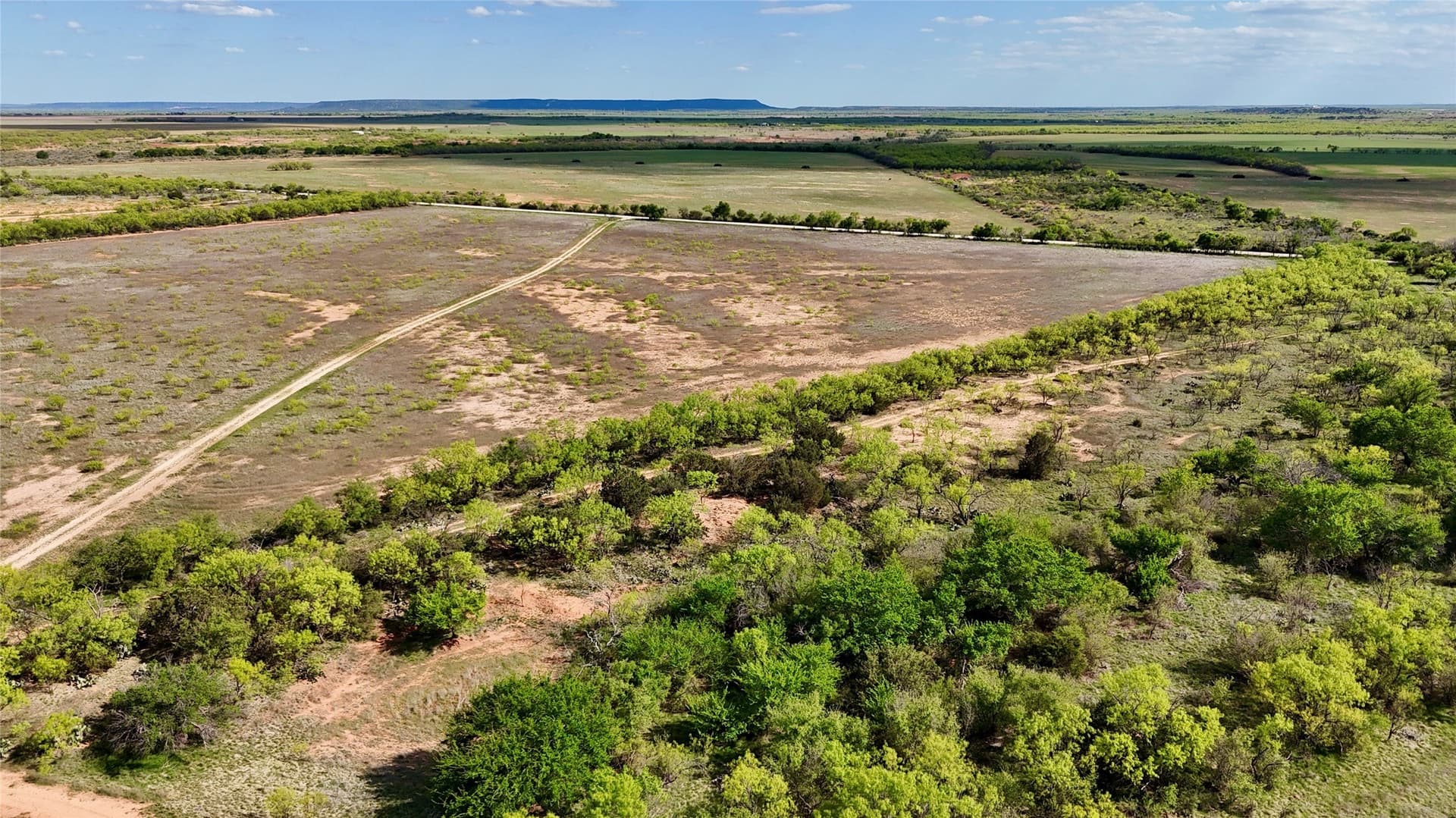 118.08 acres in Taylor County - photo 25