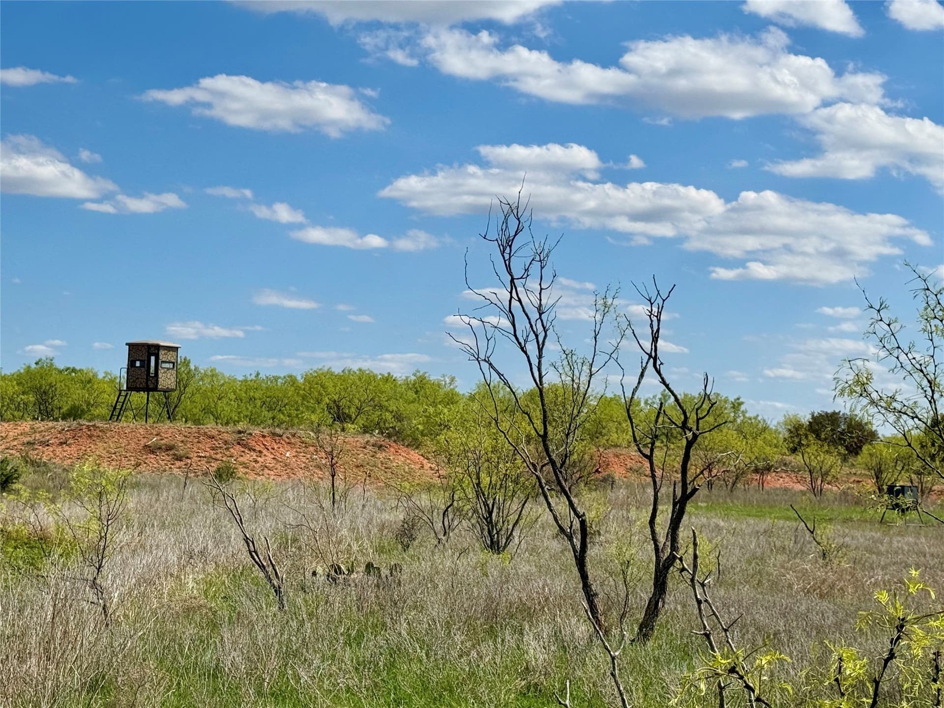 118.08 acres in Taylor County - photo 21