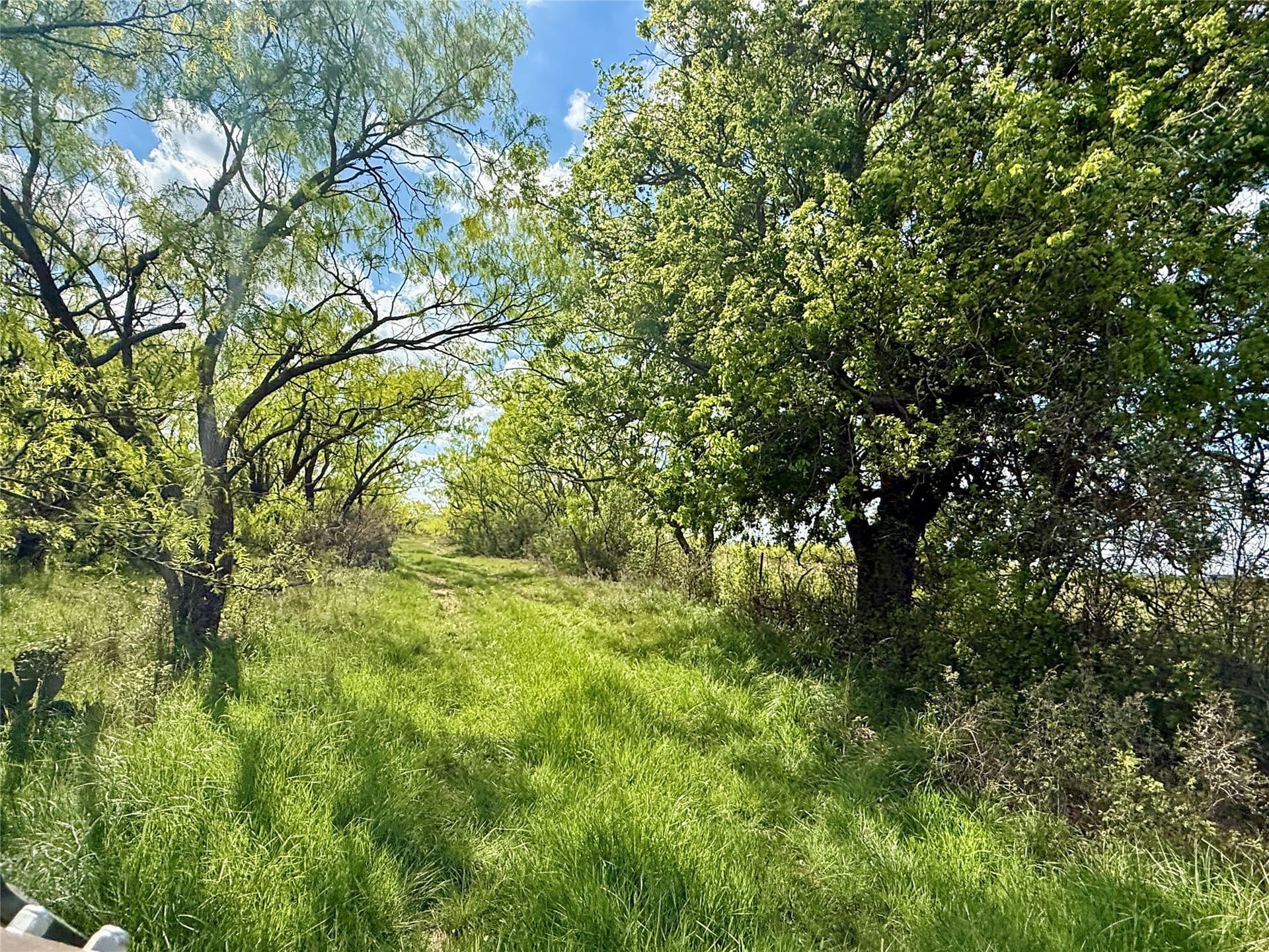 118.08 acres in Taylor County - photo 30