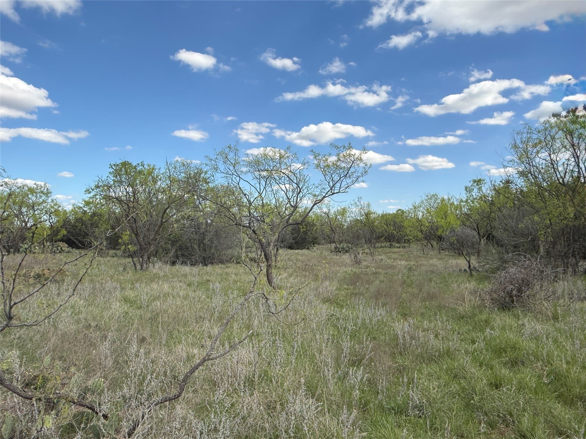 118.08 acres in Taylor County - photo 32
