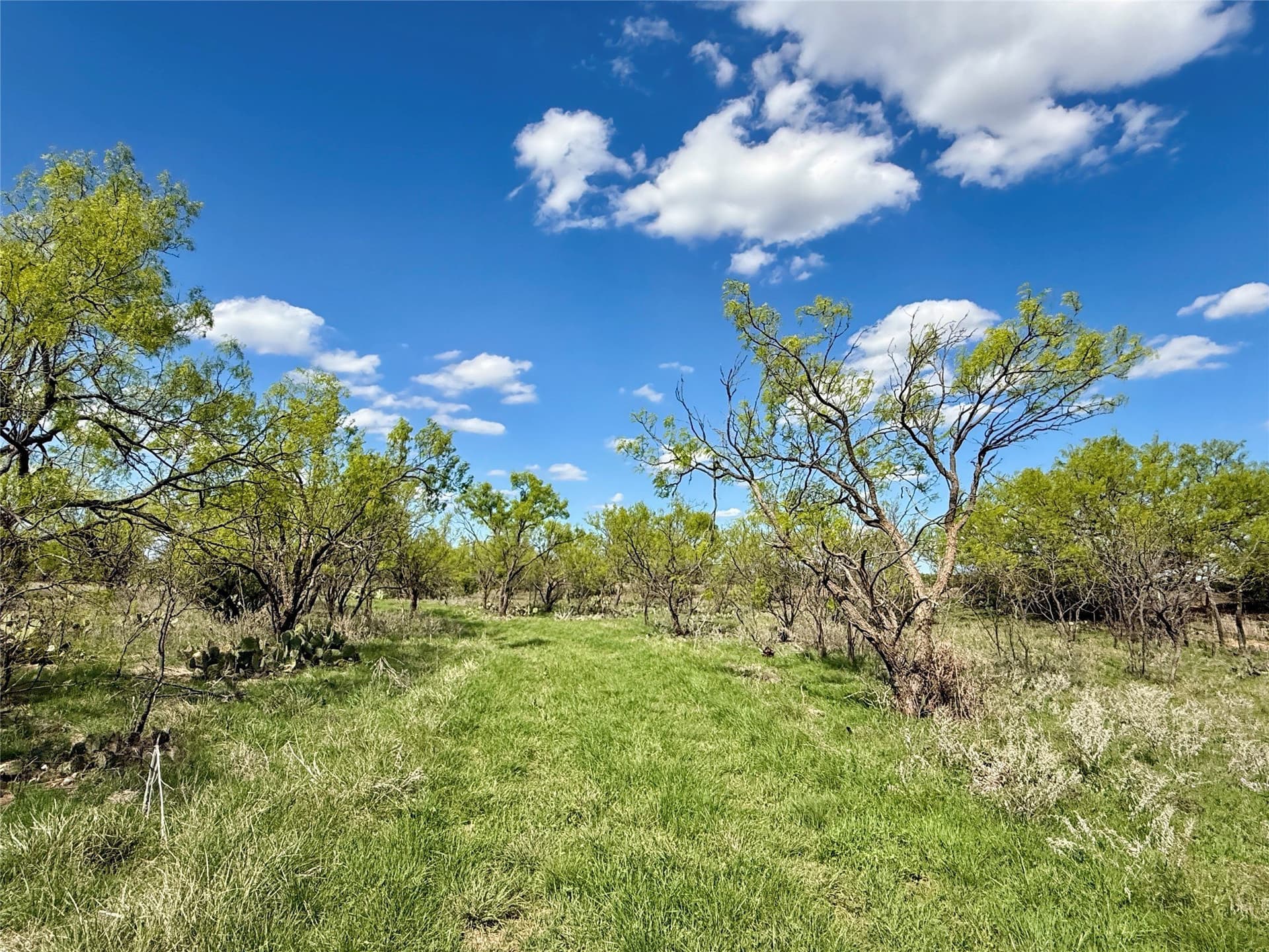 118.08 acres in Taylor County - photo 28