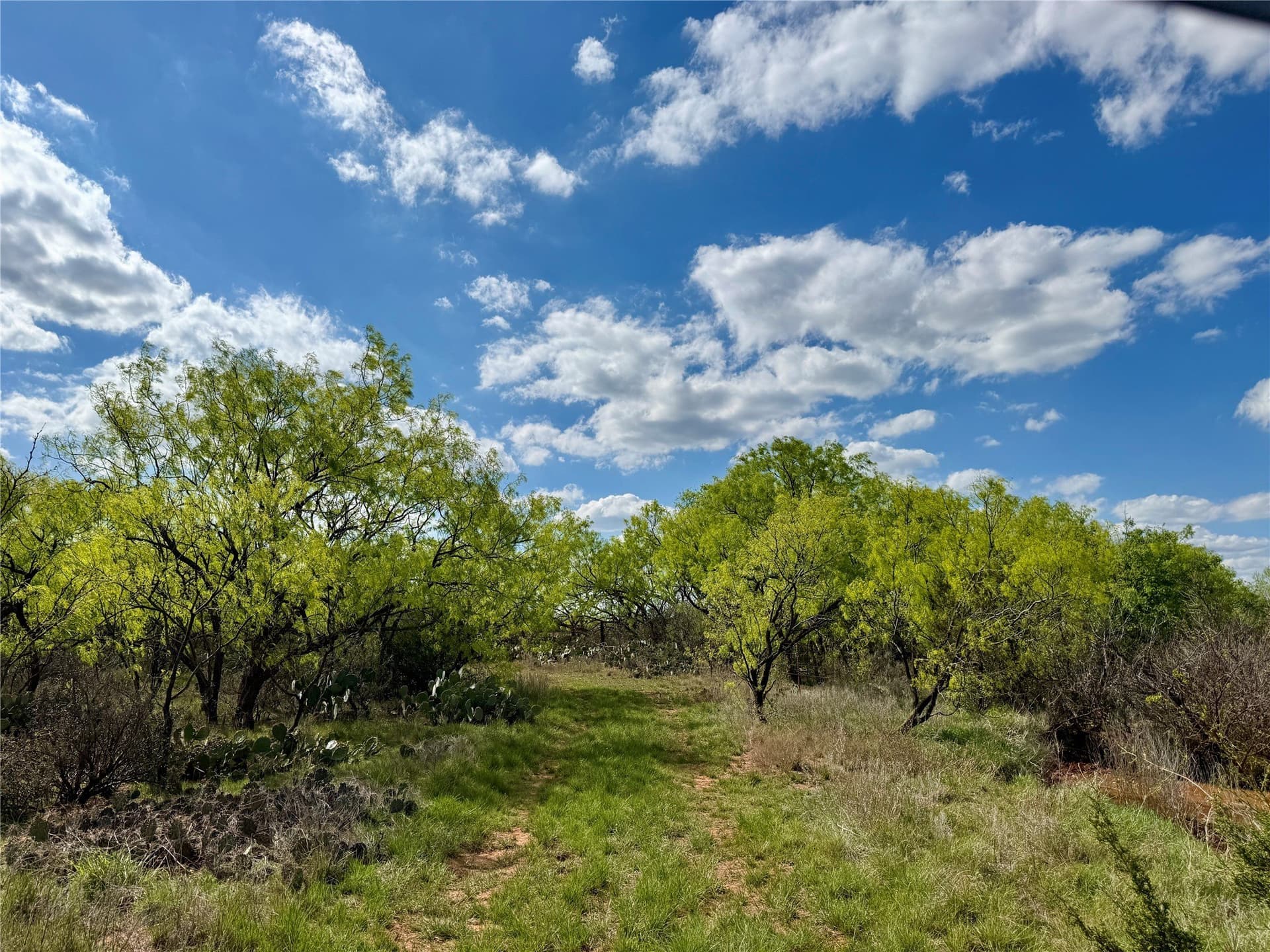118.08 acres in Taylor County - photo 31