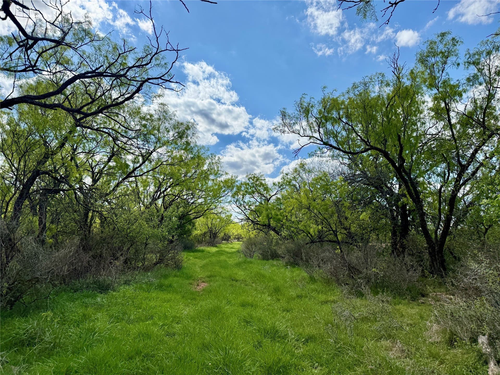 118.08 acres in Taylor County - photo 24