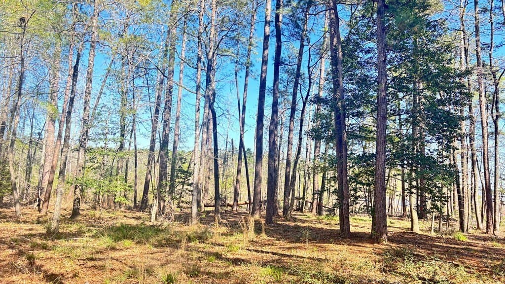 2.44 acres in Texas County featured view