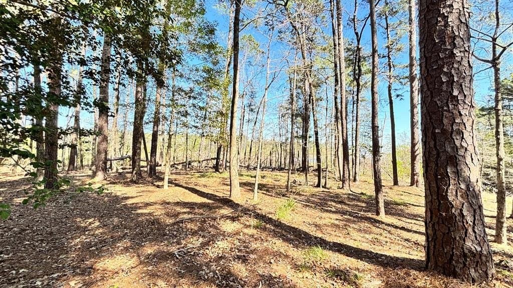 2.44 acres in Texas County