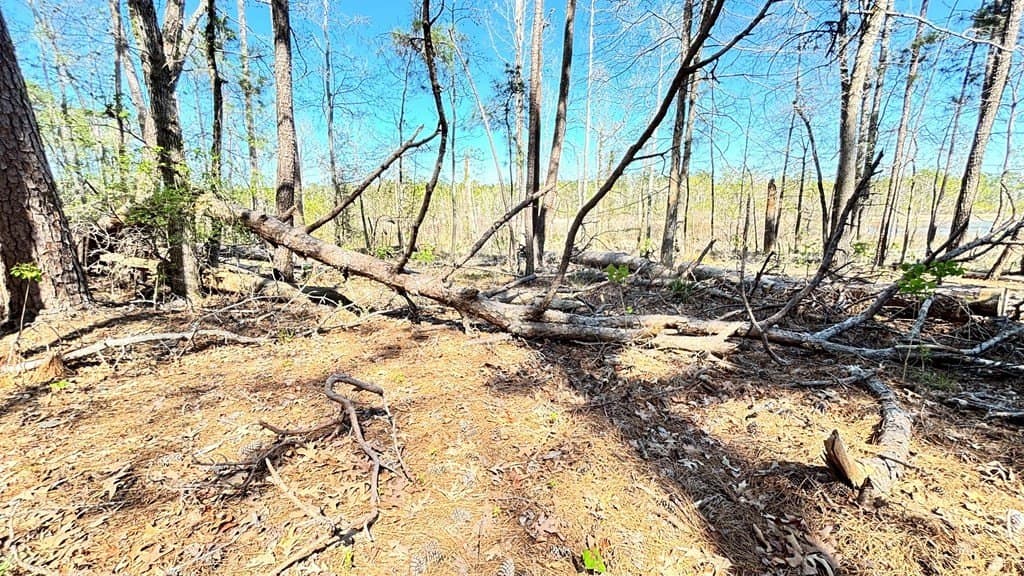 2.44 acres in Texas County gallery image 3