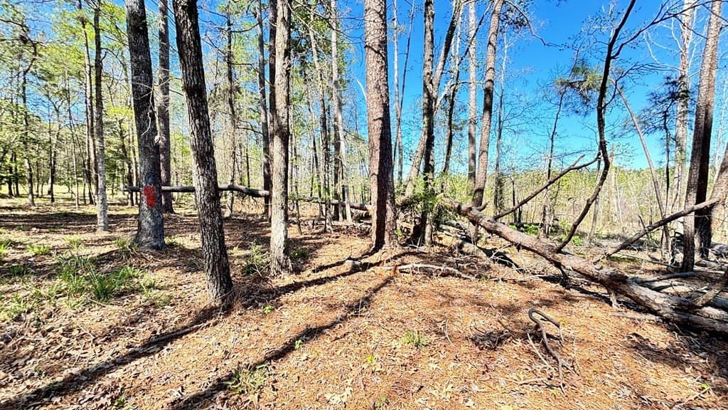 2.44 acres in Texas County gallery image 4