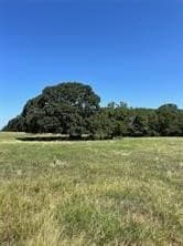 40 acres in Fannin County - photo 2