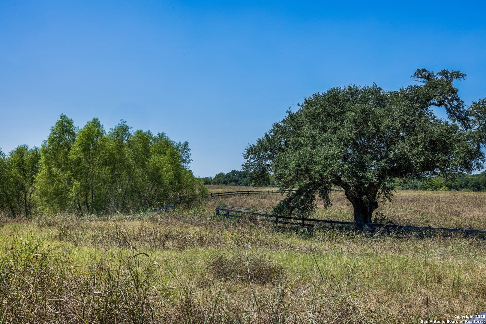 16 acres in Fayette County - photo 64