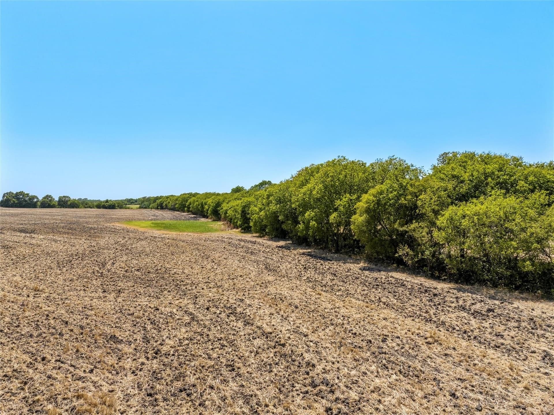 12 acres in McLennan County - photo 3
