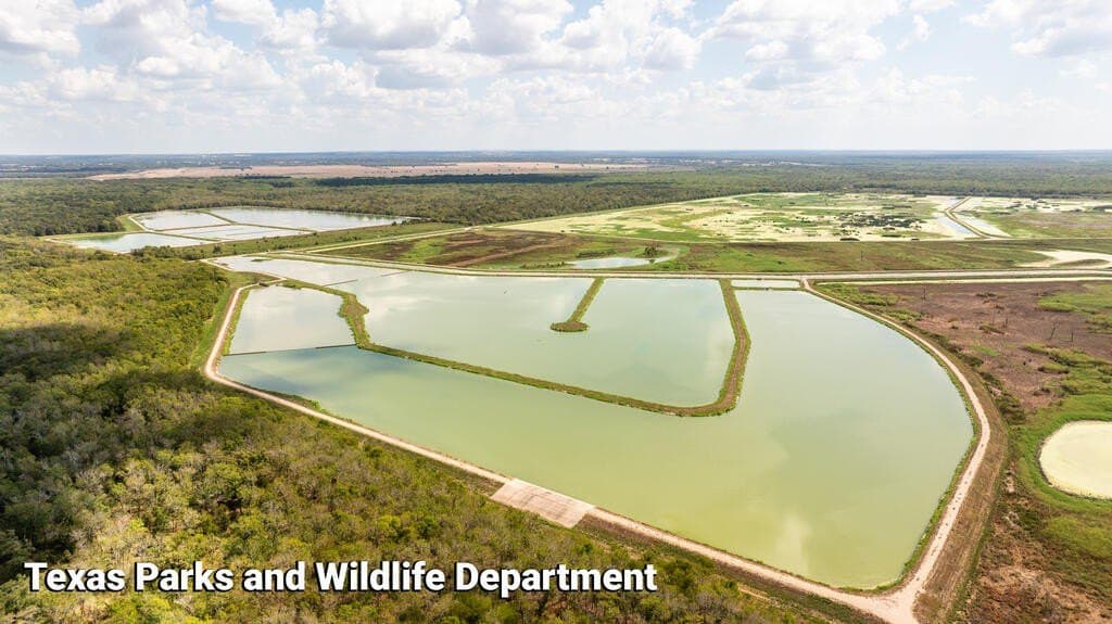 25.48 acres in NAVARRO County - photo 12