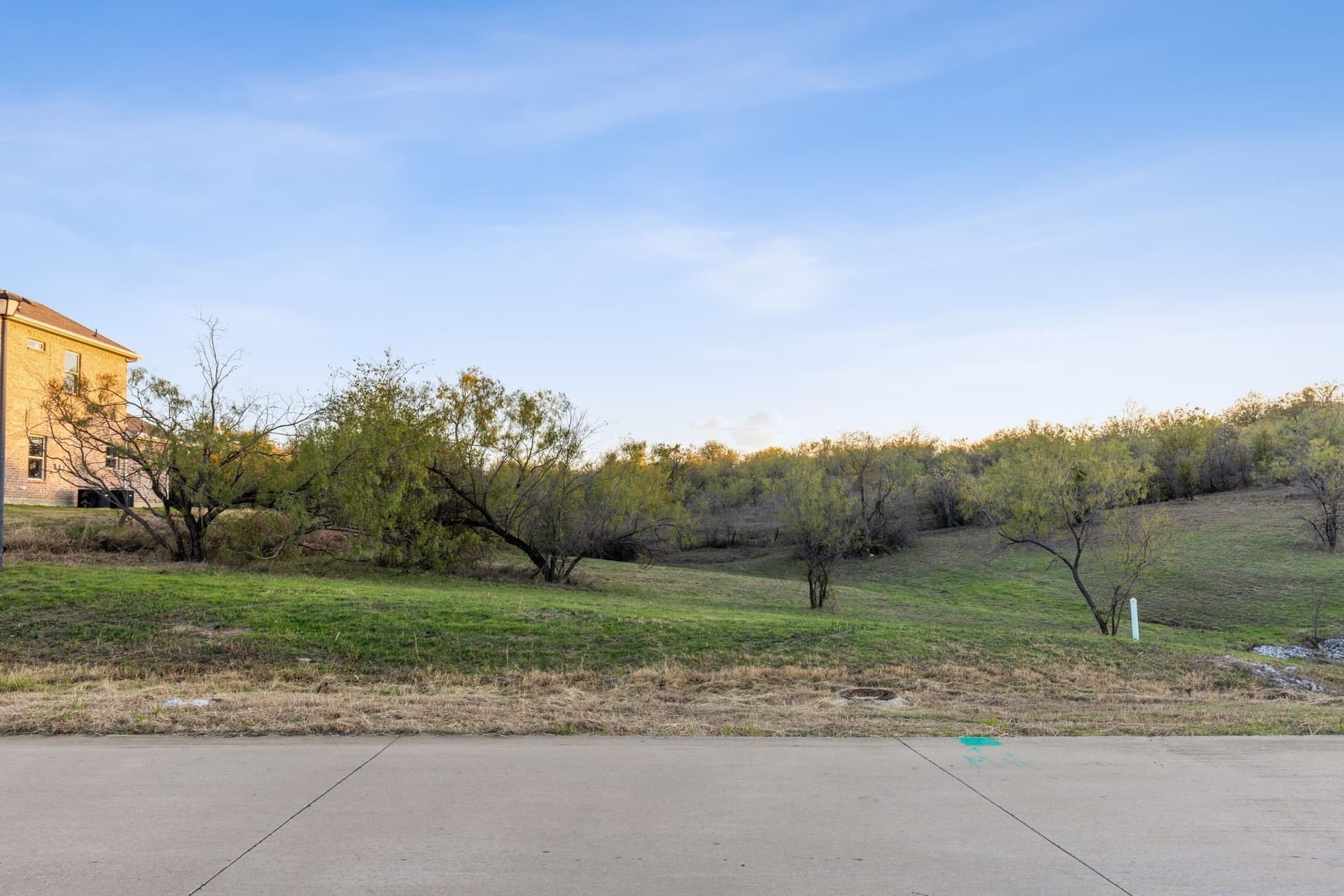 0.51 acres in Dallas County - photo 6