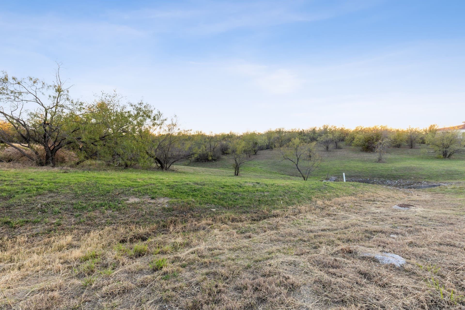 0.51 acres in Dallas County - photo 9
