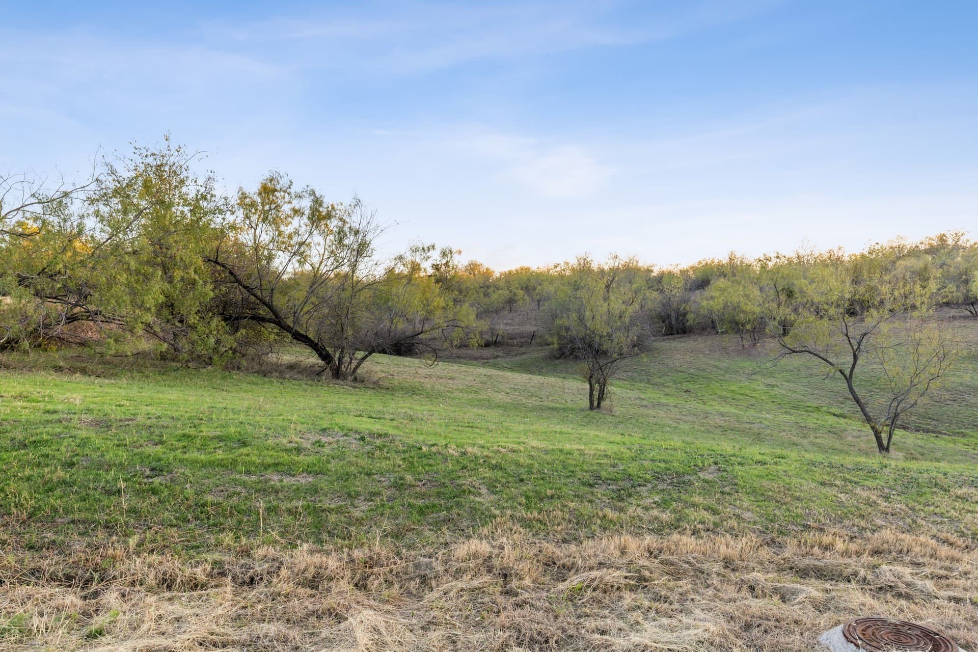0.51 acres in Dallas County - photo 8
