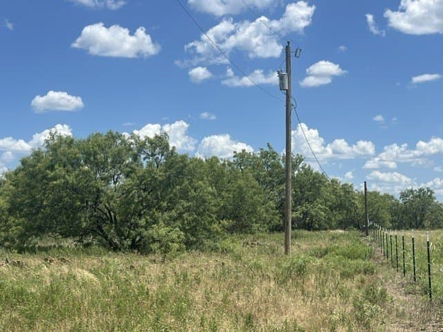 40 acres in Young County - photo 11