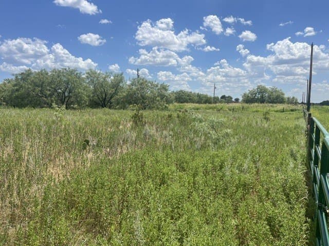 40 acres in Young County - photo 10