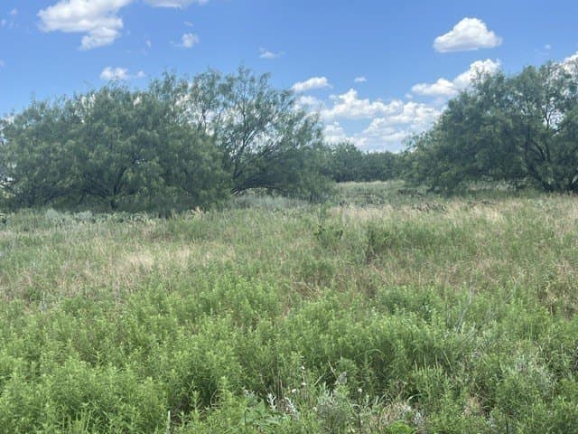 40 acres in Young County - photo 16
