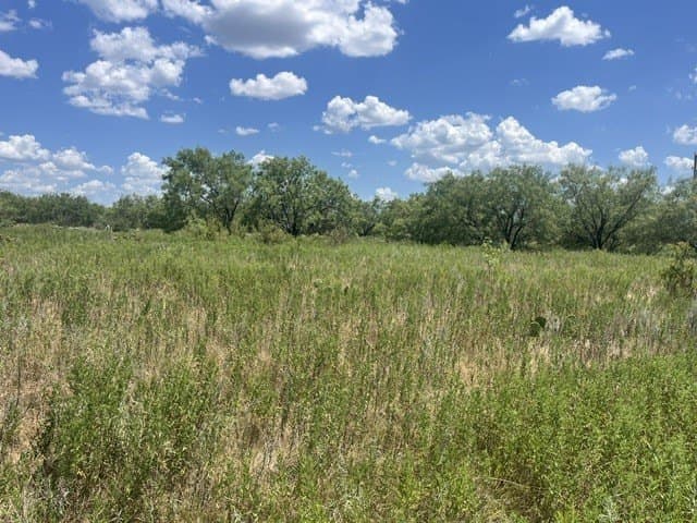40 acres in Young County - photo 15