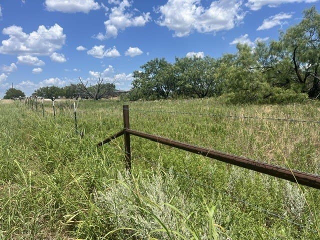 40 acres in Young County - photo 8