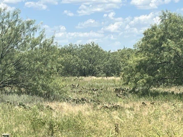 40 acres in Young County - photo 14