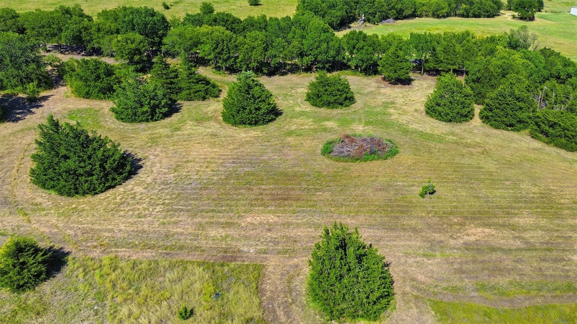 1 acres in Ellis County gallery image 3