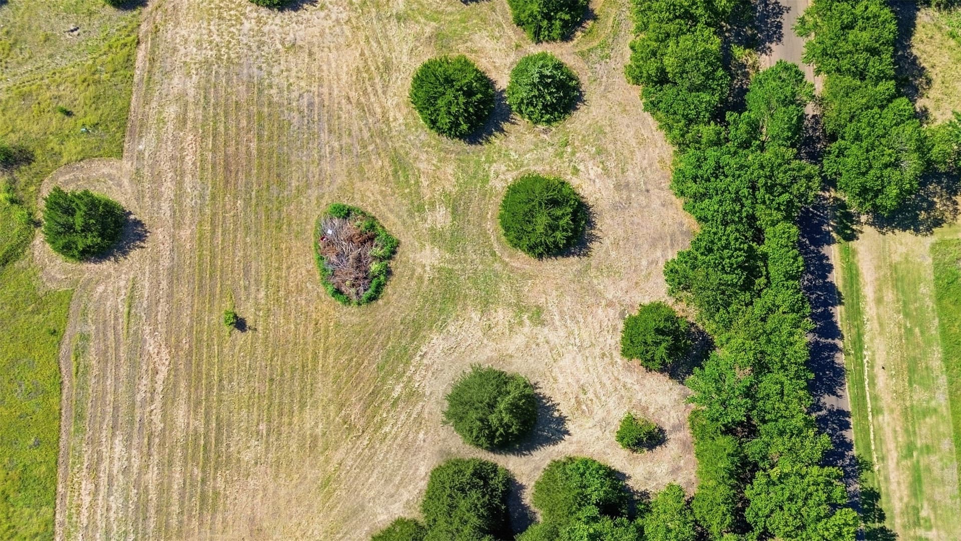 1 acres in Ellis County gallery image 2
