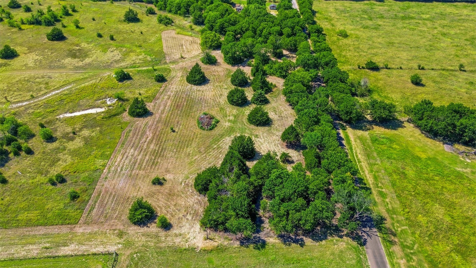 1 acres in Ellis County - photo 13