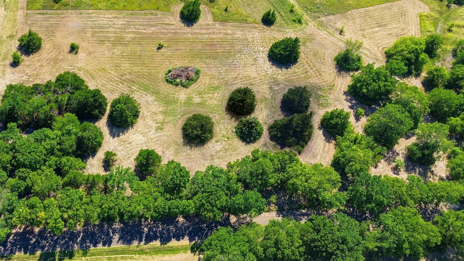 1 acres in Ellis County - photo 10